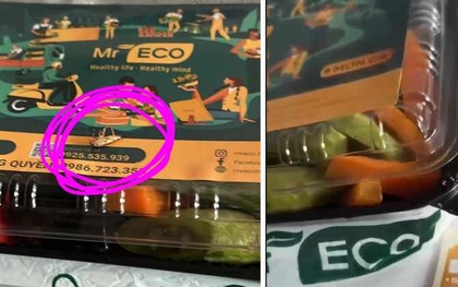 Mua cơm healthy nhưng lại có "nguyên con gián bò ra cả ngoài nắp hộp": Chủ quán nói gì?