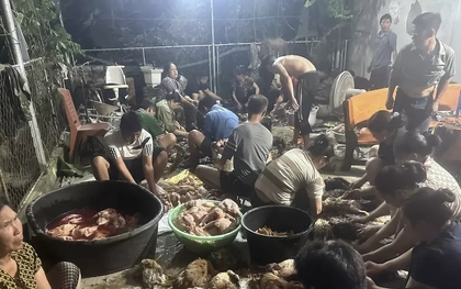 Hàng trăm con gà chết ngạt, bà con kéo đến mua ủng hộ