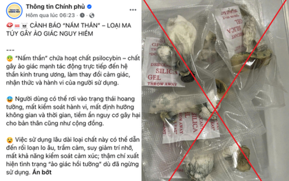 Cảnh báo về ma tuý "nấm thần"