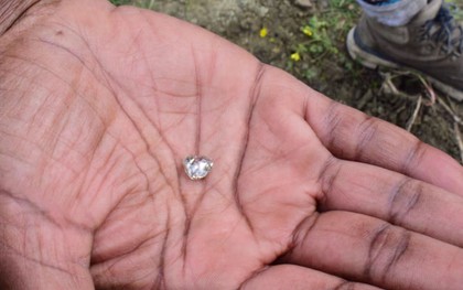 Nhặt được “viên đá lạ” trong công viên, người phụ nữ sốc khi biết đó là báu vật hàng nghìn người cùng tìm kiếm