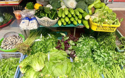 Loại rau giàu canxi hơn cả sữa, sắt không thua thịt bò: Cực dễ trồng, chợ Việt bán quanh năm