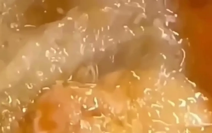 Clip dòi bò lúc nhúc trong hộp xôi mua tại tiệm bánh mì gây xôn xao dư luận ở Quảng Trị