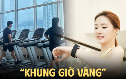 “Nghèo thời gian”, dân văn phòng biến 1 tiếng nghỉ trưa thành khung giờ vàng: Đi tập gym, đi học thêm thay vì ngủ gục trên bàn