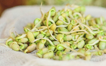 Đừng vội vứt! Những loại thực phẩm càng nảy mầm càng bổ dưỡng, nhiều người vẫn tưởng phải bỏ ngay