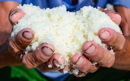 Diêm dân "rang mình" dưới nắng 40 độ, đổi lấy hơn 200 nghìn đồng mỗi ngày