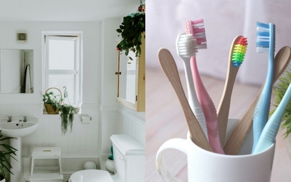Nhiều gia đình đang để bàn chải đánh răng kiểu này mà không biết: Có nguy cơ “nuôi ổ vi khuẩn” ngay trong nhà tắm