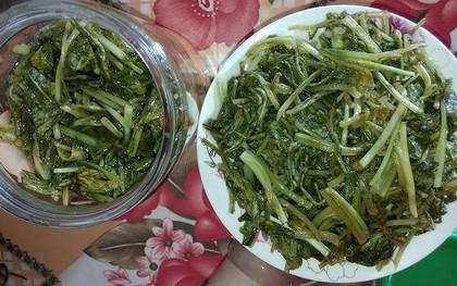 4 loại rau KHÔNG NÊN ăn: 1 loại hại thận, 2 loại "phá gan", loại nào cũng dễ nuôi tế bào ung thư