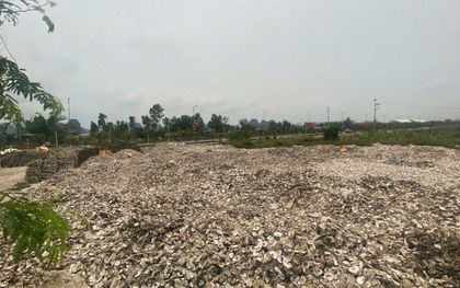 Ra quyết định khởi tố chủ cơ sở chế biến hàu Phạm Thị Thắm SN 1978