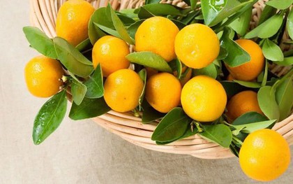 5 loại “quả vàng” được ví như cao thủ tiêu đờm: Ăn đúng cách giúp làm sạch phổi, giảm ho, cổ họng dễ chịu