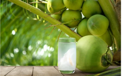 3 lời khuyên cho các gia đình hay uống nước dừa