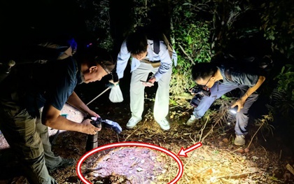 Đang khảo sát trong rừng, chuyên gia sững người khi thấy sinh vật 'hai đầu' kỳ lạ: Chưa từng thấy bao giờ