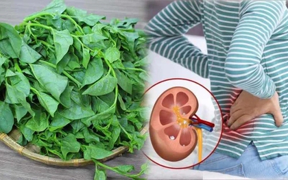 Loại rau có vị nhớt khó ăn nhưng lại được coi là "nữ hoàng" giải nhiệt mùa hè: Có 5 nhóm người tốt nhất đừng ăn nhiều