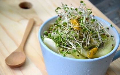 "Siêu thực phẩm" chống ung thư mạnh gấp 100 lần bông cải xanh: Ăn được chỉ sau 7 ngày tự trồng tại nhà