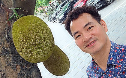 Cây mít nổi tiếng nhất Việt Nam khiến Cục trưởng Xuân Bắc phải đi làm cả cuối tuần để... canh chừng!