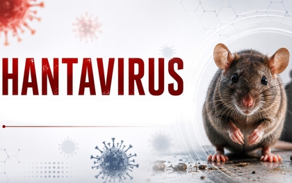 5 câu hỏi người dân quan tâm nhất về virus Hanta được BS Bệnh viện Bệnh Nhiệt đới Trung ương giải đáp