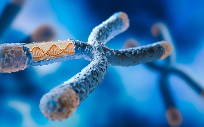 Một lỗi DNA có thể biến chuột cái thành đực: Hy vọng cho con người