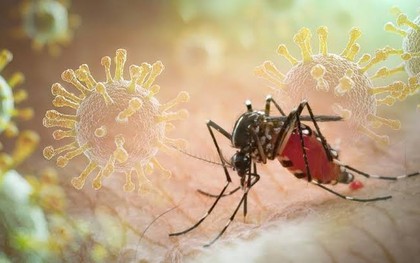 Sốt xuất huyết Dengue phá vỡ quy luật cũ: Ghi nhận hơn 50.000 ca mắc trong 5 tháng đầu năm 2026, xuất hiện nhiều ca nặng