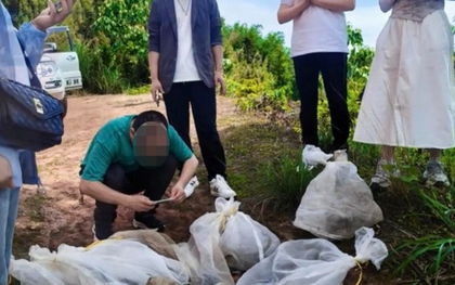 Người đàn ông mang 14 bao lưới lên núi mừng sinh nhật, dân làng khiếp vía khi thứ bên trong lao ra