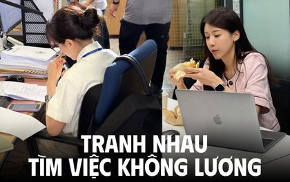3-6 tháng làm không lương vẫn tranh nhau ứng tuyển: Chấp nhận làm không công miễn không thất nghiệp
