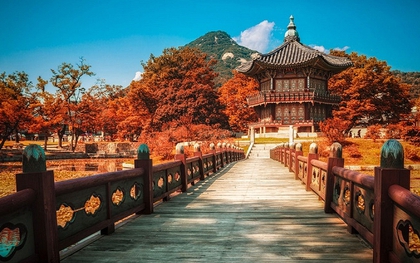 Từ nay, hàng triệu người Việt đủ điều kiện xin visa Hàn Quốc 10 năm, lưu trú tối đa 90 ngày