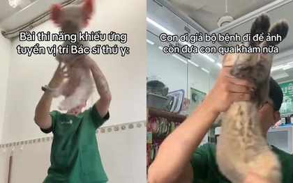 Bác sĩ thú y ở TP.HCM bị cho nghỉ việc sau vụ việc gây phẫn nộ