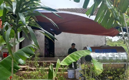 Vào rừng hái cây thuốc, người phụ nữ bị rắn độc cắn tử vong