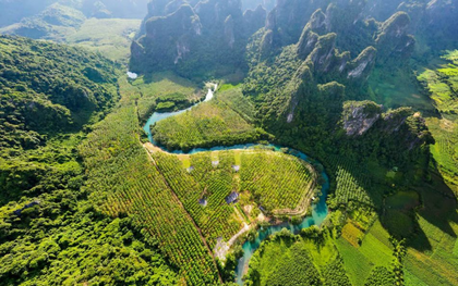 Không phải Hạ Long hay Phú Quốc, đây là nơi lọt top điểm đến nghỉ dưỡng kết nối thiên nhiên nổi bật châu Á, vừa đón 41.400 lượt khách trong dịp nghỉ lễ