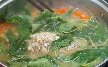 5 loại rau là "vua thải độc gan", càng ăn càng đốt mỡ, chống già: Chợ việt luôn sẵn!