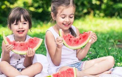 Mùa picnic đến rồi: Tránh ngay 6 sai lầm khiến thực phẩm nhanh biến thành "ổ vi khuẩn" dưới trời nắng nóng