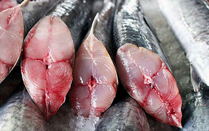2 loại cá "dễ ngậm" thủy ngân, cái số một cực kỳ quen thuộc
