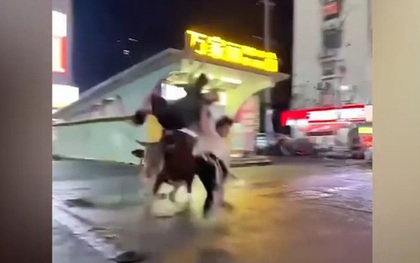 Trốn khỏi lò mổ, bò "điên" húc người đi bộ văng lên không trung
