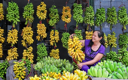 Loại quả ngon nhất thế giới của Việt Nam: Chỉ có ở Ninh Bình, vào mùa là hết sạch, phải đặt trước mới có