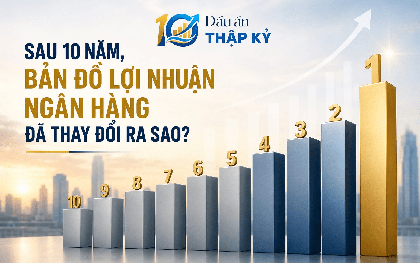 Bảng xếp hạng lợi nhuận ngân hàng sau một thập kỷ: Ngôi vương đổi chủ, một nhà băng rơi 10 bậc, HDBank và LPBank "leo rank" ấn tượng