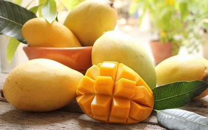 Không chỉ giàu vitamin C, xoài còn được đánh giá cao nhờ 3 lợi ích với sức khỏe