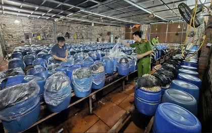 Khởi tố 3 chủ cơ sở tuồn ra thị trường gần 1.000 tấn giá đỗ ngâm hoá chất