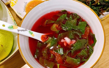 Việt Nam có loại "rau trường thọ": Vài nghìn cả mớ nhưng cực giàu protein, sắt, canxi, chất chống ung thư