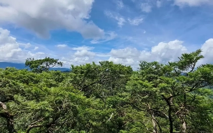 Phong Nha - Kẻ Bàng được công nhận là Khu Dự trữ sinh quyển thế giới