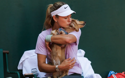Giải tennis đặc biệt nhất thế giới: Chó cưng có thẻ tác nghiệp riêng, được thuê quản gia riêng, massage và bơi như VIP