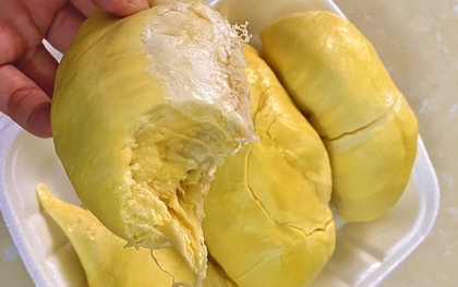 Tại sao không nên ăn sầu riêng trước những kỳ thi quan trọng?