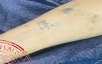 Lai lịch thi thể có hình xăm vương miện trên cánh tay phát hiện trên sông Nậm Na