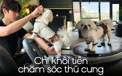 Lương tôi bao nhiêu cũng được, nhưng phải đưa chó đi tập Pilates học phí 1,5 TRIỆU/30 PHÚT, khám sức khỏe 28 TRIỆU/NĂM