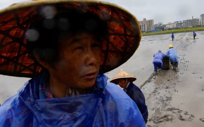Trung Quốc sơ tán hơn 1,8 triệu người vì siêu bão Bavi