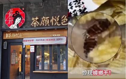 Con gián trong gói khoai tây 9.000 đồng và sai lầm khiến thương hiệu trà sữa hot hit xứ Trung tự thổi bùng khủng hoảng