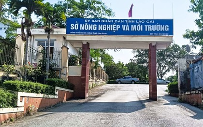 Phát hiện cán bộ Sở Nông nghiệp và Môi trường Lào Cai tử vong tại trụ sở