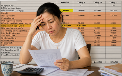 Khoản dự trù kinh phí đầu năm học ở trường công lập khiến bà mẹ TP.HCM "toát mồ hôi": Tính xong tóc thêm vài sợi bạc