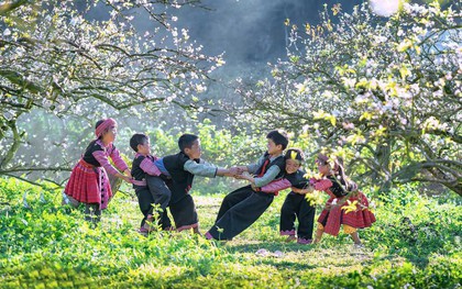 Ai cũng nghĩ là Sa Pa, đây mới là nơi duy nhất 3 lần được vinh danh đẹp nhất thế giới: Cách Hà Nội 180km