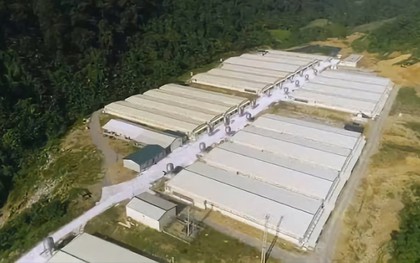 Tai nạn tại trang trại lợn ở Thanh Hóa: Thêm 2 người không qua khỏi