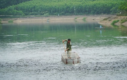 Bỏ phố về quê nuôi con cá rẻ như cho nhưng được xem như "thuốc đại bổ", thanh niên 9X xây trang trại doanh thu tiền tỷ