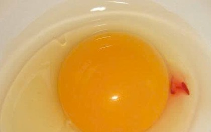 Vì sao lòng đỏ trứng lại có đốm máu? Câu trả lời khiến nhiều người bất ngờ