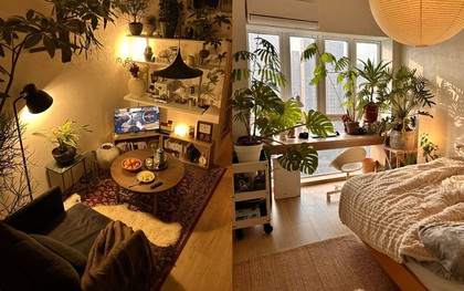 Chi 367 triệu, mất 68 ngày biến căn nhà ống thành vườn cây: Chàng trai độc thân nói ở nhà vui hơn đi chơi